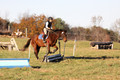 Caroline Morel on Lizzie, Green Horse Trials Junior