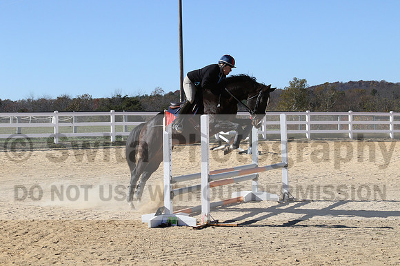 Mimi Combs on Aristocrat, Beginner Novice Horse Trials Senior A