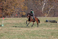 Wendy Zolinski on Civil Assets, Training Horse Trials