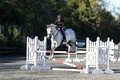 Liz Riley on Ice Storm, Novice HT