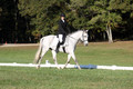 Madeleine Kahle on Luck Be A Lady, Novice Horse Trials Senior A