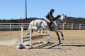 Tori Nuckols on Grey Dragon, Beginner Novice Horse Trials Senior A