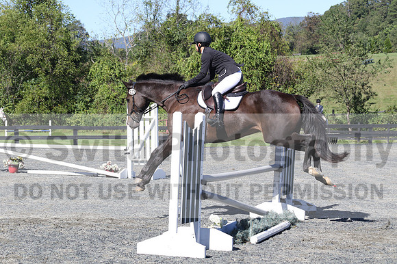 Wenzhao Zhang on High Roller, Beginner Novice Senior Horse Trials A