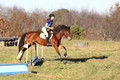 Molli Heisler on Rebel, Green Horse Trials Junior