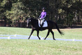 Judy Lancaster on Ride Sallie Ride, Beginner Novice Horse Trials Senior B
