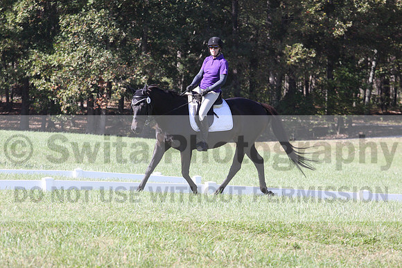 Judy Lancaster on Ride Sallie Ride, Beginner Novice Horse Trials Senior B