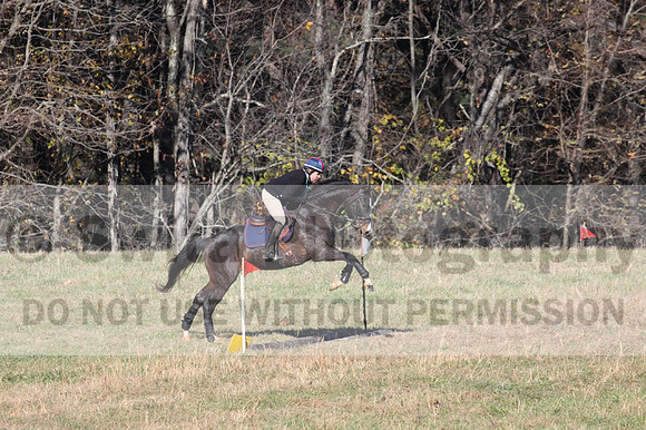 Mimi Combs on Aristocrat, Beginner Novice Horse Trials Senior A