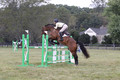 Lindsey Lanier on Fernhill Hustler, OI