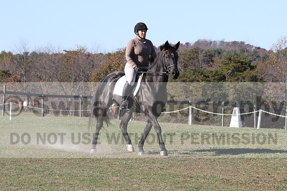 Amy Kryder on Rhianna, Beginner Novice Horse Trials Senior C