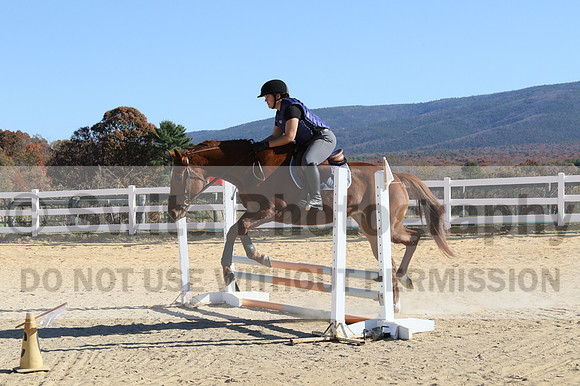 Austin Mikolin on Royal Intrigue, Advanced Green Horse Trials Senior B