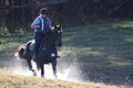 Corinne McCoy on FGF Midnight Harmony, Advanced Green Horse Trials Senior A