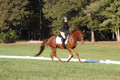 Jenny Rosner on Abbey Moon, Training Horse Trials
