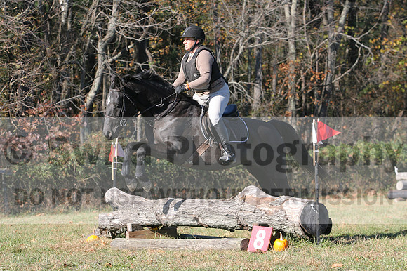 Amy Kryder on Rhianna, Beginner Novice Horse Trials Senior C