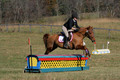 Theresa Thompson on Rated PG, Novice Horse Trials Senior