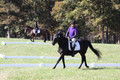 Judy Lancaster on Ride Sallie Ride, Beginner Novice Horse Trials Senior B