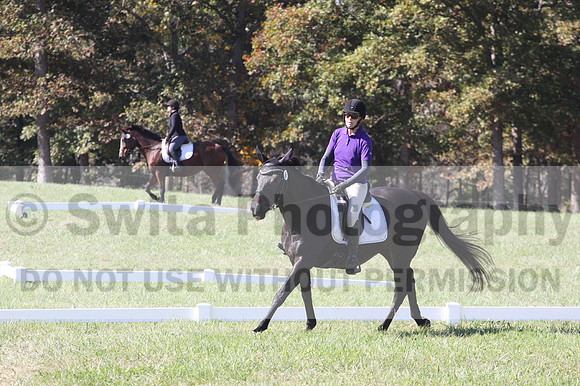 Judy Lancaster on Ride Sallie Ride, Beginner Novice Horse Trials Senior B