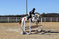 Jennifer Cobb on Snowbird, Beginner Novice Horse Trials Senior A
