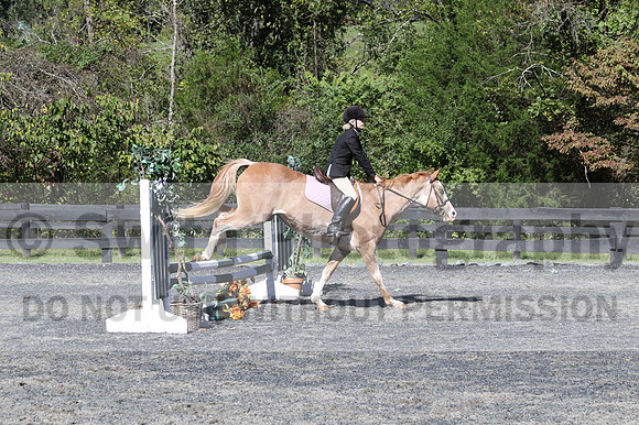 Sophia Zwaldo on Carmel Colored Lady, Advanced Green Horse Trials Junior