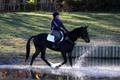 Trina Gomez on Anubis, Green Horse Trials Senior