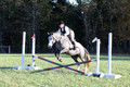 Elizabeth Brown on BallyGrace Encore, Green Horse Trials