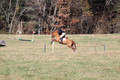 Theresa Thompson on Rated PG, Novice Horse Trials Senior