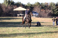 Trina Gomez on Anubis, Green Horse Trials Senior