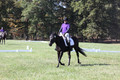 Judy Lancaster on Ride Sallie Ride, Beginner Novice Horse Trials Senior B