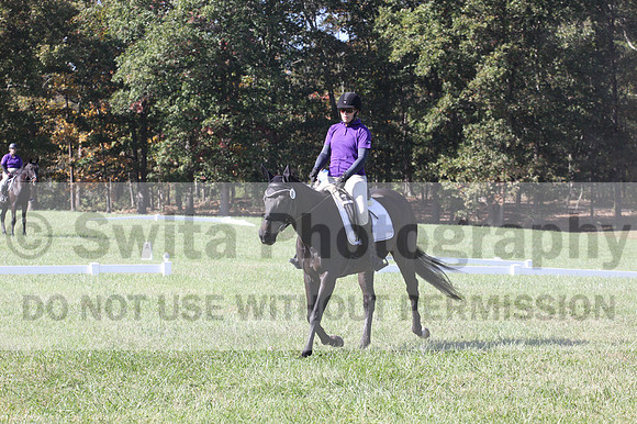 Judy Lancaster on Ride Sallie Ride, Beginner Novice Horse Trials Senior B