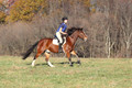 Molli Heisler on Rebel, Green Horse Trials Junior
