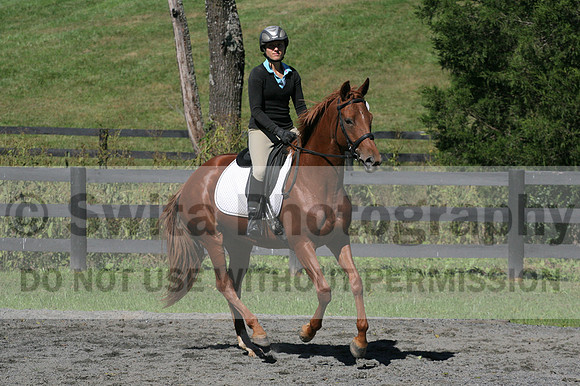 Jenny Rosner on Curious, Advanced Green HT Senior