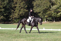 Melissa Kenny on F.O. Calculated Risk, Novice Horse Trials Senior B