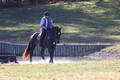 Corinne McCoy on FGF Midnight Harmony, Advanced Green Horse Trials Senior A