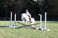 Jeanne Jeffer on Snowball's Chance, Green Horse Trials