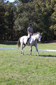 Carolyn Rutledge on Izzy, Advanced Green Horse Trials A