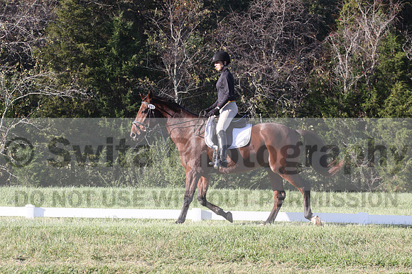 Kelly Linn on Hanover, Green Horse Trials