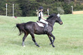 CS1K1104