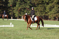 Jenny Rosner on Abbey Moon, Training Horse Trials