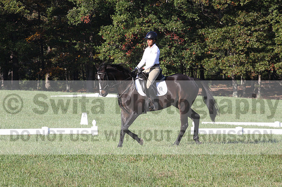 Anna White on Rocking The Ark, Novice Horse Trials Senior A