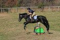 Leah Childers on Priscilla, Beginner Novice Horse Trials Junior B