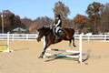 Ella Grier on Jean Louis Finch, Advanced Green Horse Trials Junior B