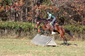 Wendy Zolinski on Civil Assets, Training Horse Trials