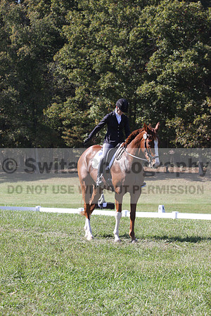 Amy Parsons on Wren Wrouge, Advanced Green Horse Trials A
