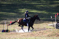 Abby McGowan on Civil Bond, Beginner Novice Horse Trials Junior B