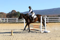 Erica Jones on Bingo, Advanced Green Horse Trials Senior A