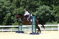 V29L0861