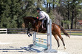 P14K0308