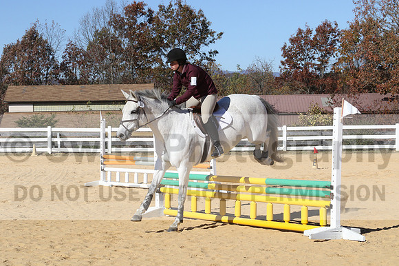Shannon Bower on Bastille, Beginner Novice Combined Test