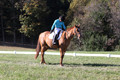 Clay Cooke on Clifford Dun It Again, Advanced Green Horse Trials B