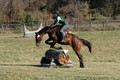 Wendy Zolinski on Civil Assets, Training Horse Trials
