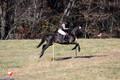 Amy Kryder on Rhianna, Beginner Novice Horse Trials Senior C